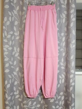 Blue Velvet Casual Pink Drawstring Jogger Pants size S